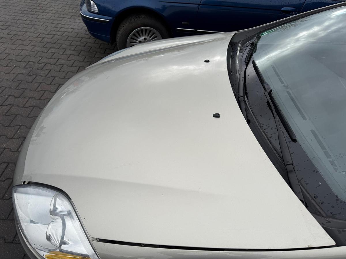 Fiat Bravo 198 original Motorhaube 272 Vanitoso Metallic BJ07 Fiat Bravo 198 original Motorhaube 272 Vanitoso Metallic BJ07